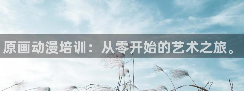 omofun最新版：原画动漫培训：从零开始的艺术之旅。