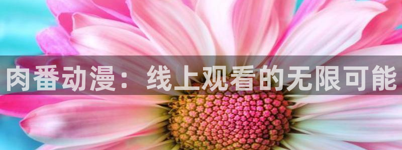 omofun动漫在线看：肉番动漫：线上观看的无限可能