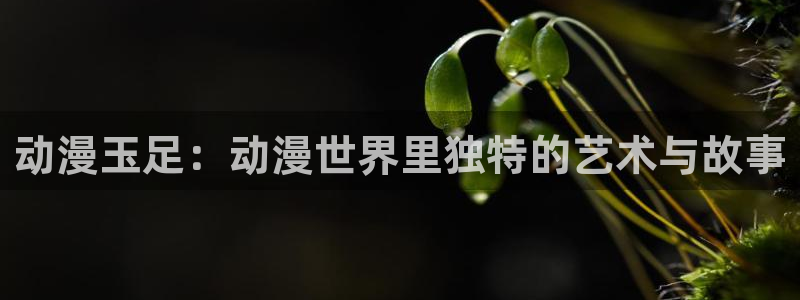 omofun官网安卓下载：动漫玉足：动漫世界里独特的艺术与故事