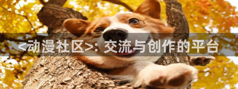 omofun的官网：<动漫社区>: 交流与创作的平台