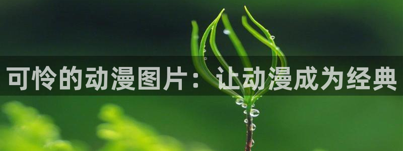 omofun动漫官网入口网址：可怜的动漫图片：让动漫成为经典