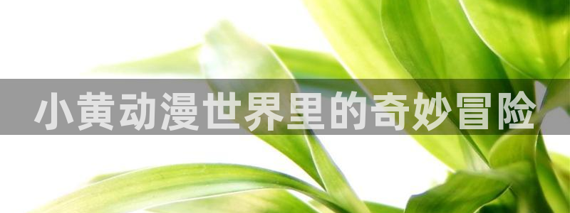 omofun 宕卧略：小黄动漫世界里的奇妙冒险
