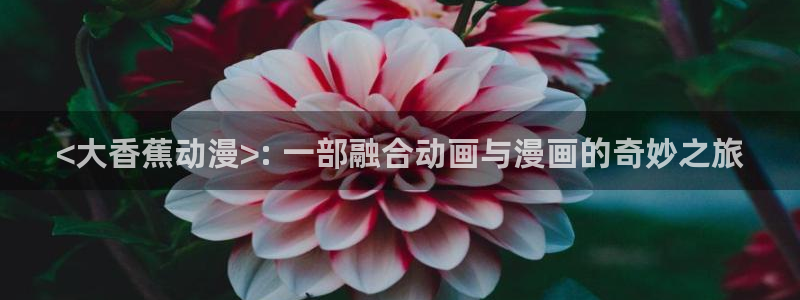 omofun,hanime：<大香蕉动漫>: 一部融合动画与漫画的奇妙之旅