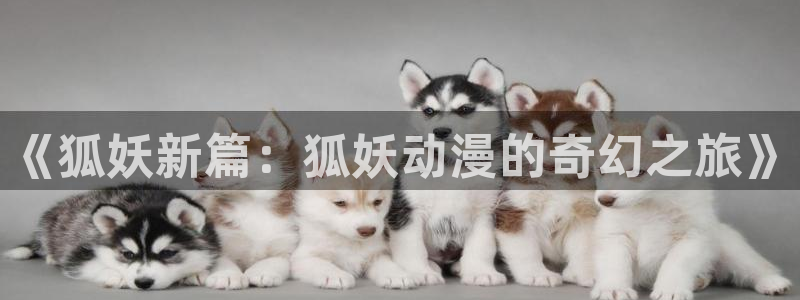 omofun网页版怎么没了：《狐妖新篇：狐妖动漫的奇幻之旅》