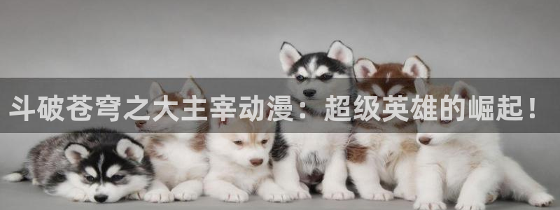 omofun官网网页版：斗破苍穹之大主宰动漫：超级英雄的崛起！
